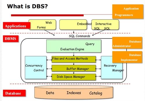 數據庫管理系統（DBMS）入門 基礎概念、目標與應用